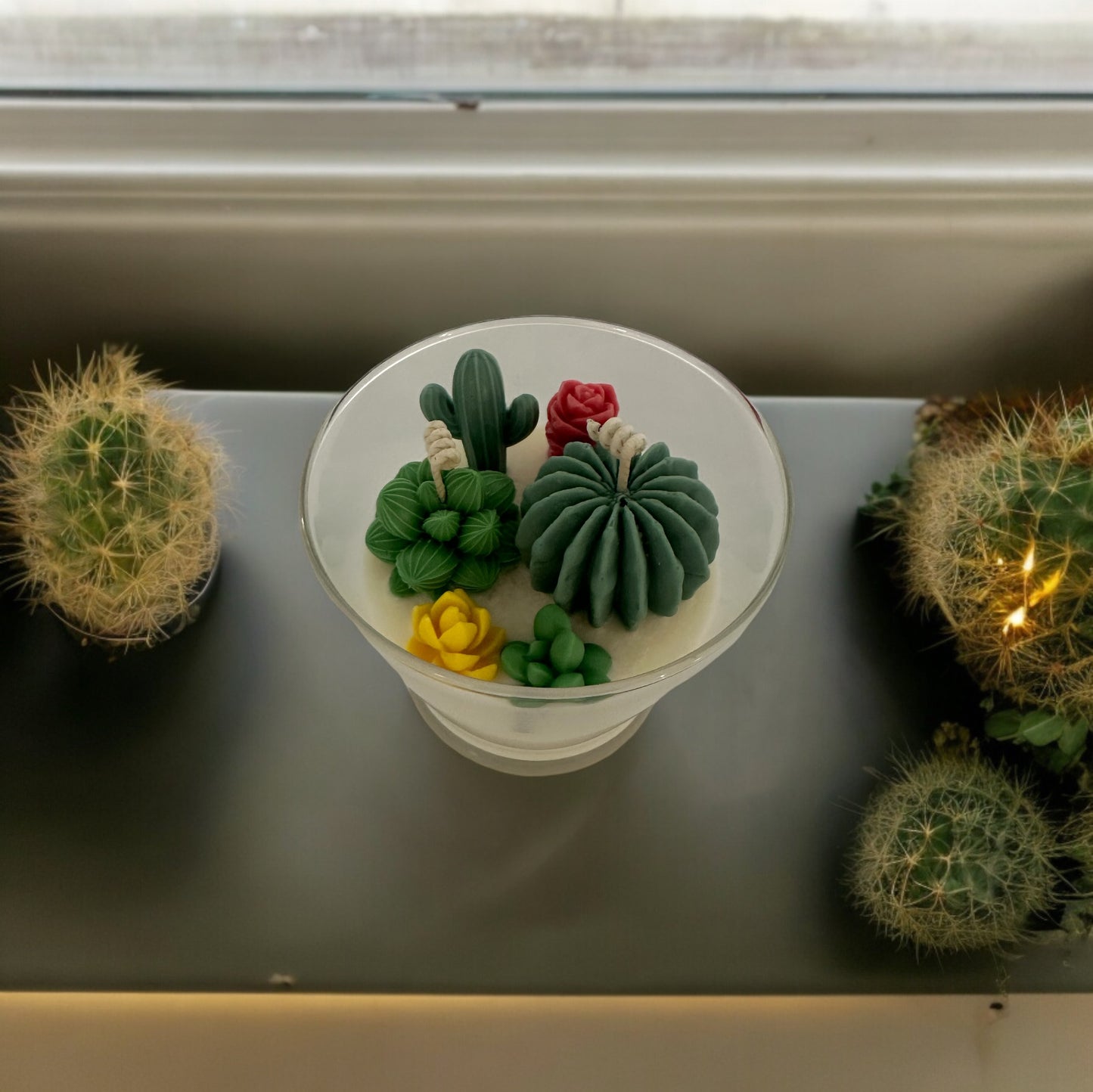 Juicy Cactus Blossom